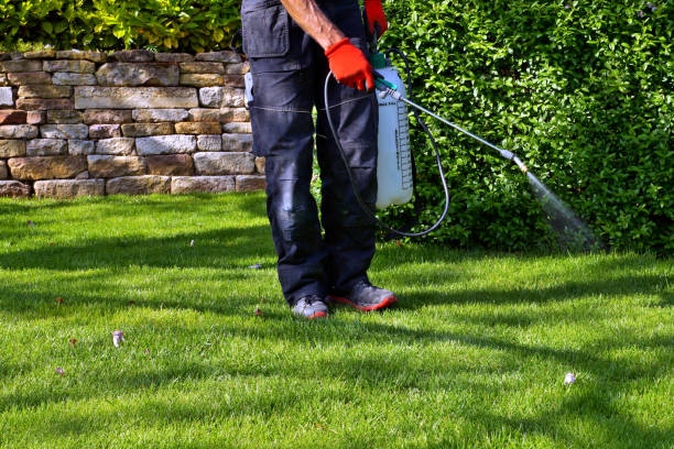 Best Residential Pest Control  in Harvest, AL